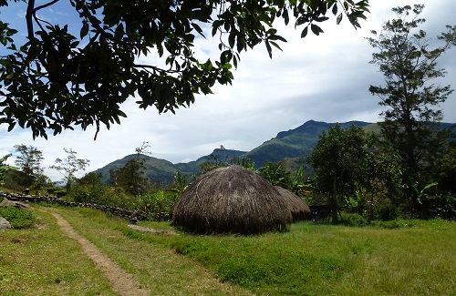 Dorp in Baliemvallei, West Papua